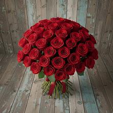 Букет 55 Красных роз Фридом #REPLACE_PRED# Балково
