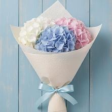 Букет цветов из:  Гортензия в Балково