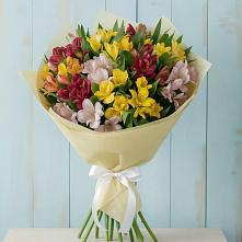 Букет цветов из:  Альстромерии в Балково