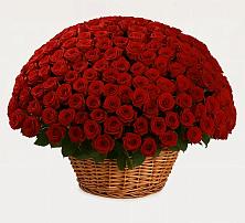 Премиум букет из: Розы в Балково