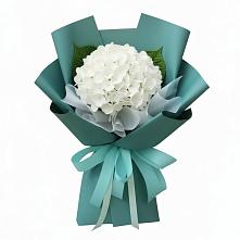 Букет цветов из:  Гортензия в Балково